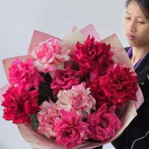 Fluff's Choice BB - Cosmic Trip