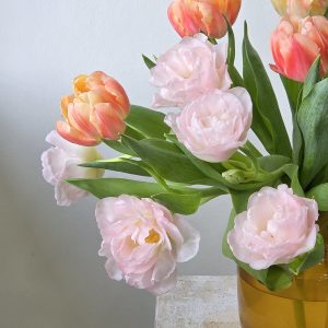 Fluff's Choice Tulip Mix