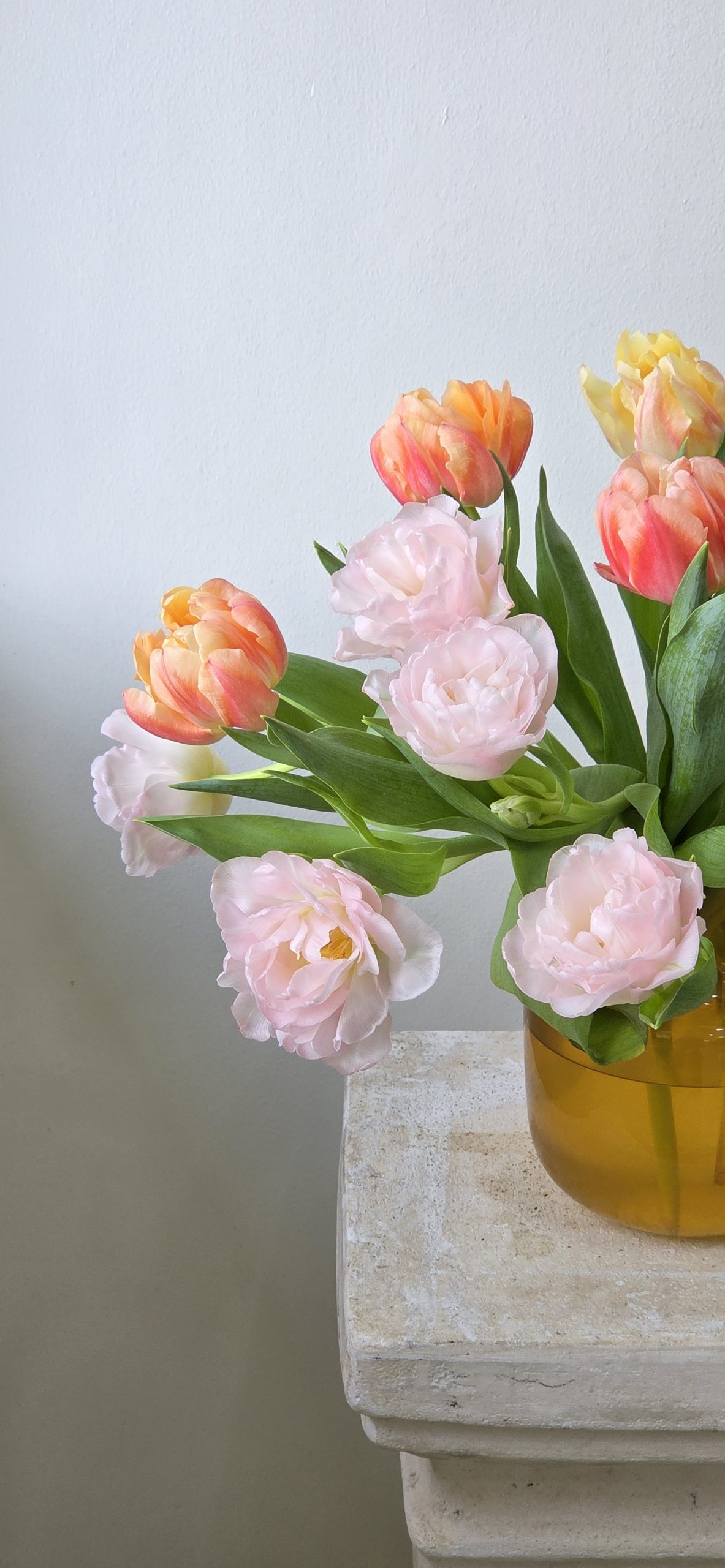 Fluff's Choice Tulip Mix