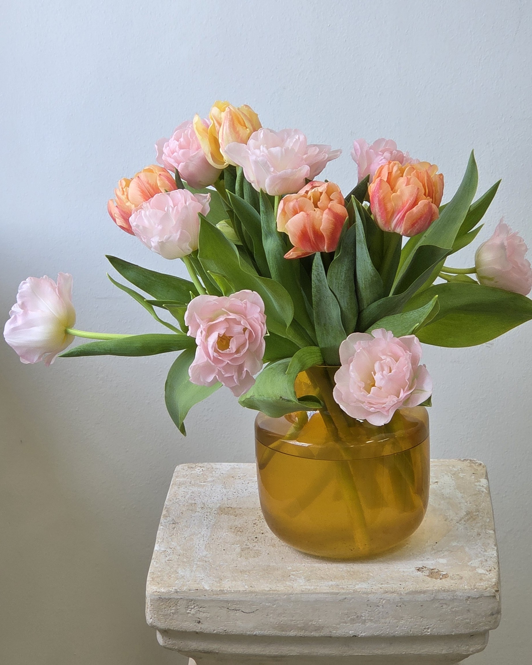 Fluff's Choice Tulip Mix - Image 2