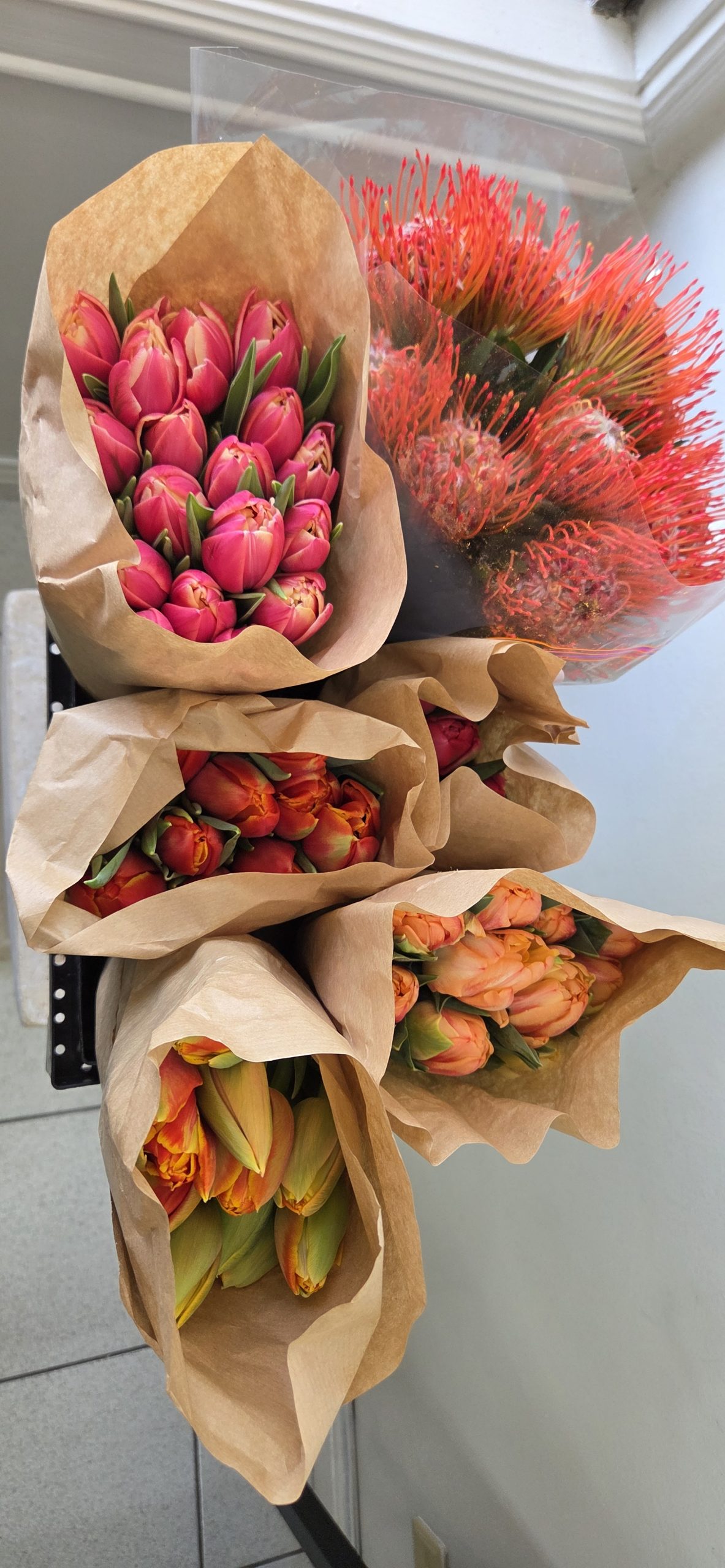 Fluff's Choice Tulip Mix - Image 3