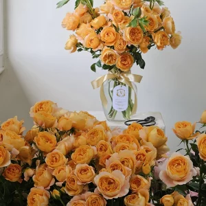 Orange Garden Spray Rose