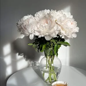 Indigenous Blush Pink/Pink and White