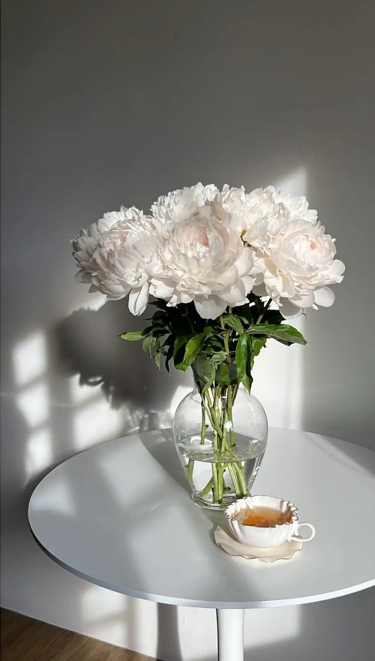 Indigenous Blush Pink/Pink and White