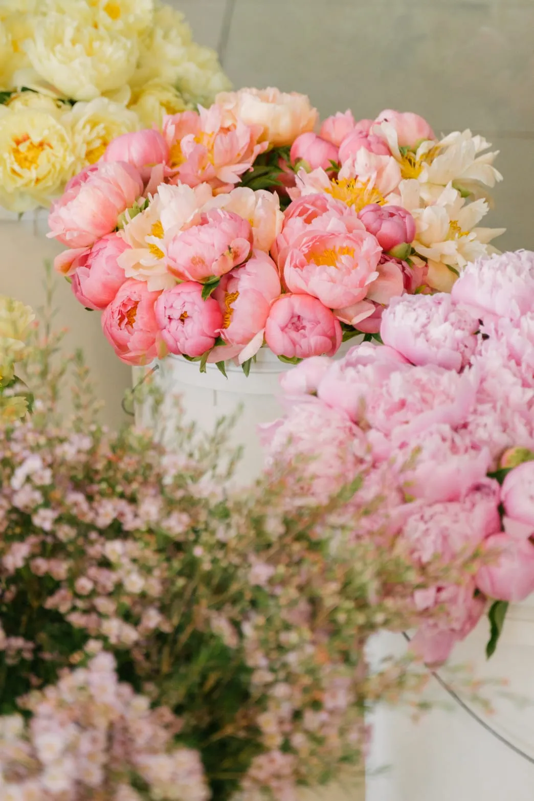 Coral Charm - Image 3