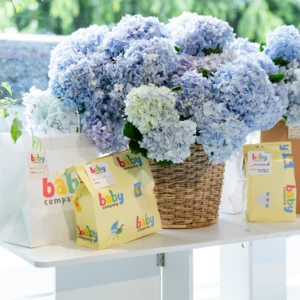 Hydrangea Baskets (Local)