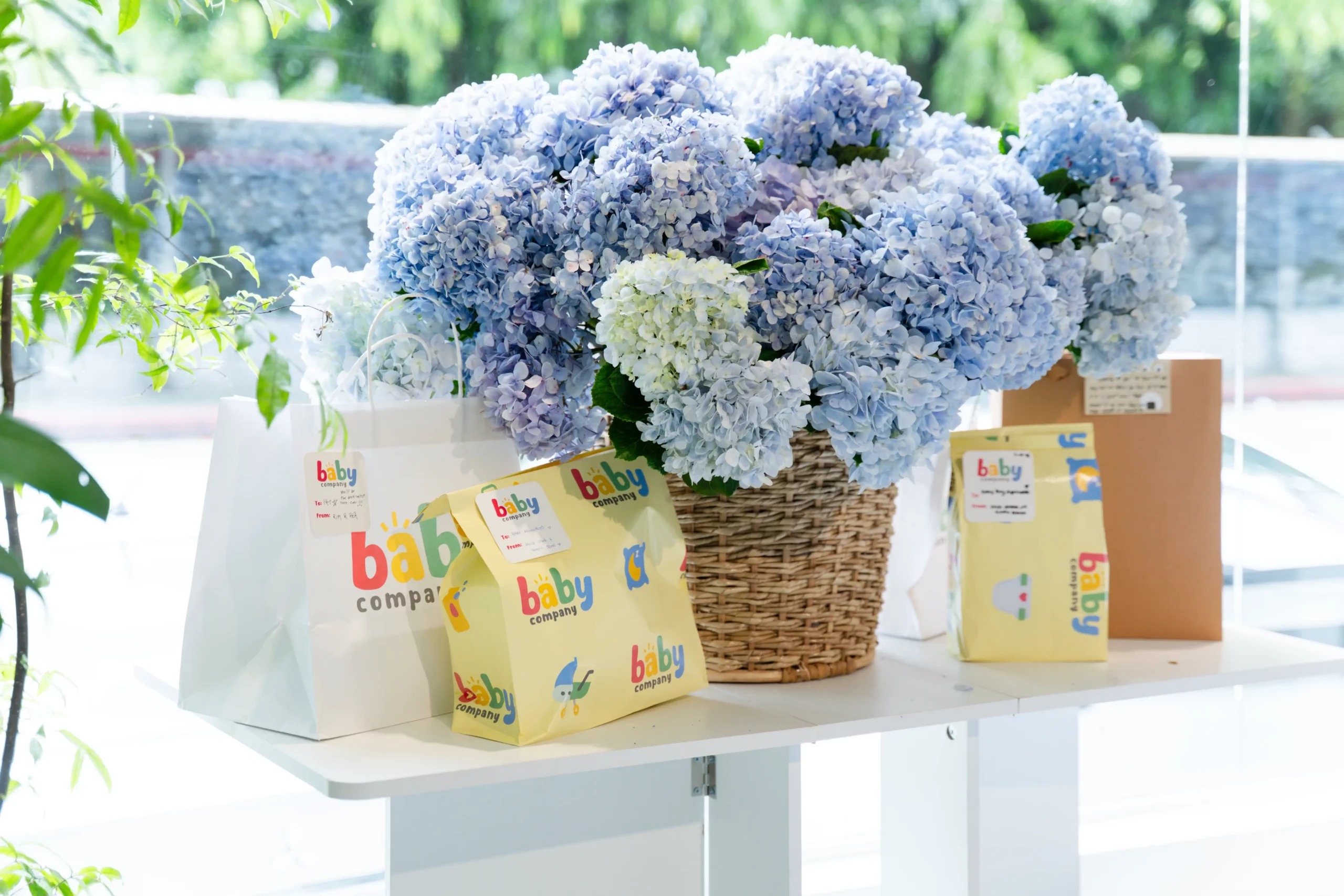 Hydrangea Baskets (Local)