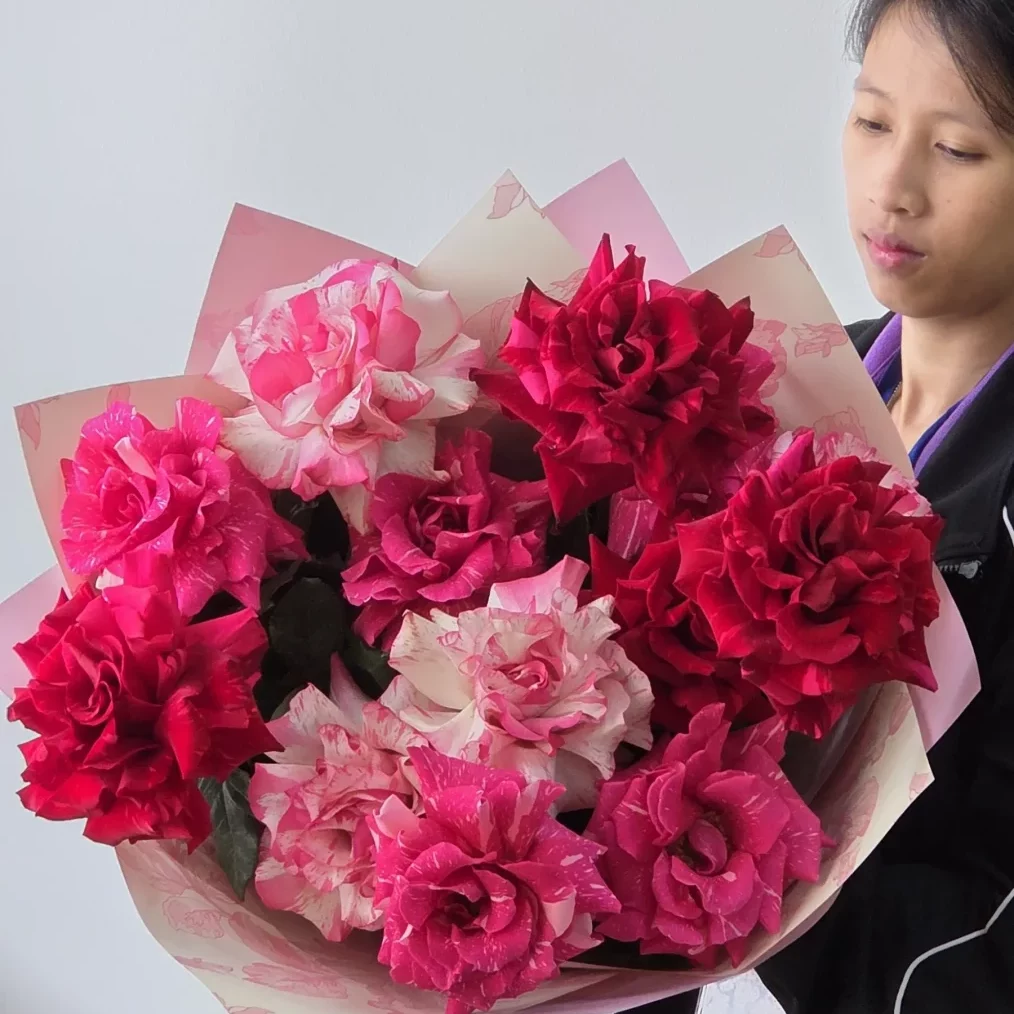 Fluff's Choice BB - Cosmic Trip (VD26-8)